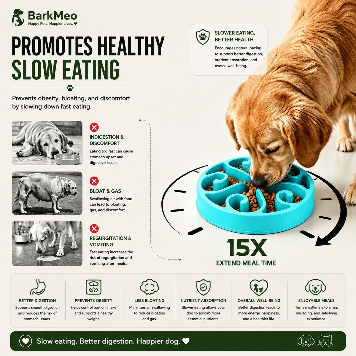An infographic banner for BarkMeo promoting healthy slow eating for dogs. It features a golden retriever eating from a blue multi-compartment slow feeder bowl.