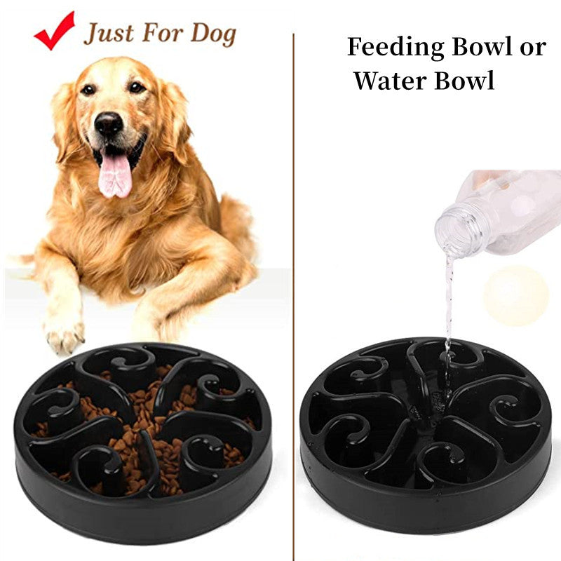 Black dog feeding or water bowl with a golden retriever and pouring water image on a white background
