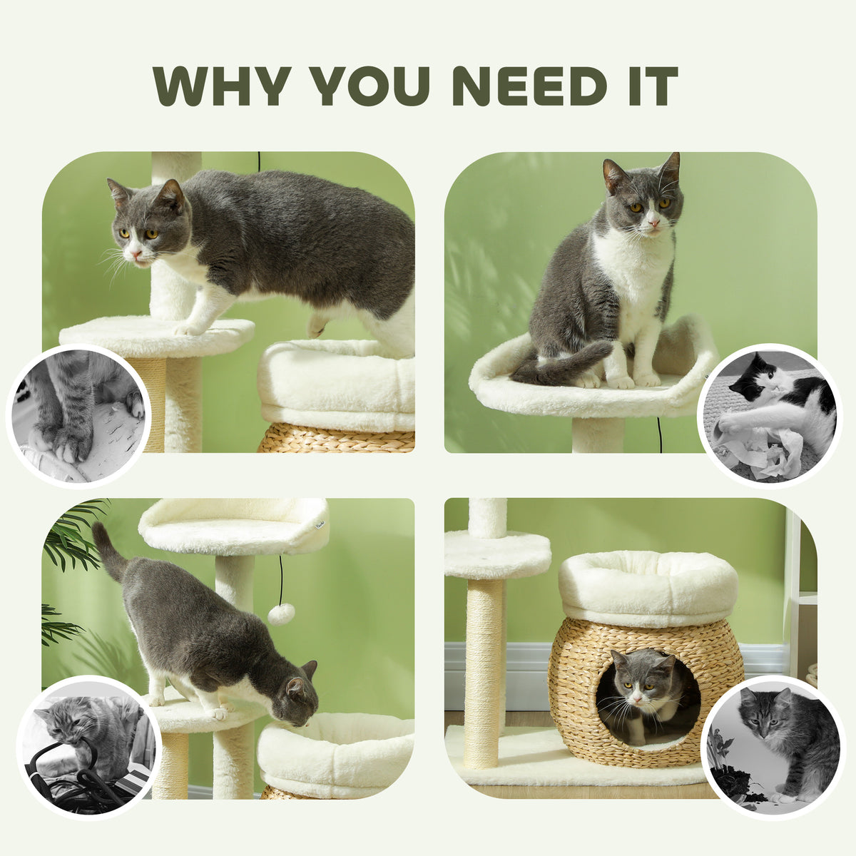 Cat tree with multiple angles showing a cat using it, on a light green background.