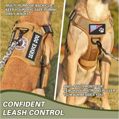 Dog harness with 'Service Dog' label with American flag patch, on a grassy background.