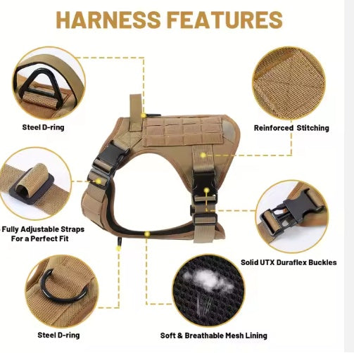 Dog harness with features highlighted on a white background