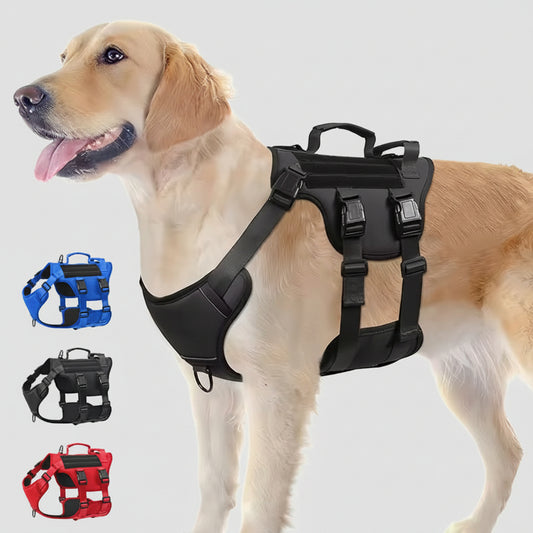Dog wearing a black harness with additional color options displayed below on a white background