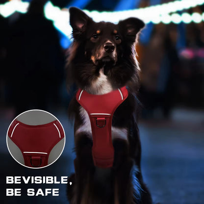 Dog wearing a red harness with a dark background and 'BeVisible, BeSafe' text.
