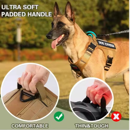 Dog wearing a tactical harness with close-ups of the handle and padding, set against a natural background.