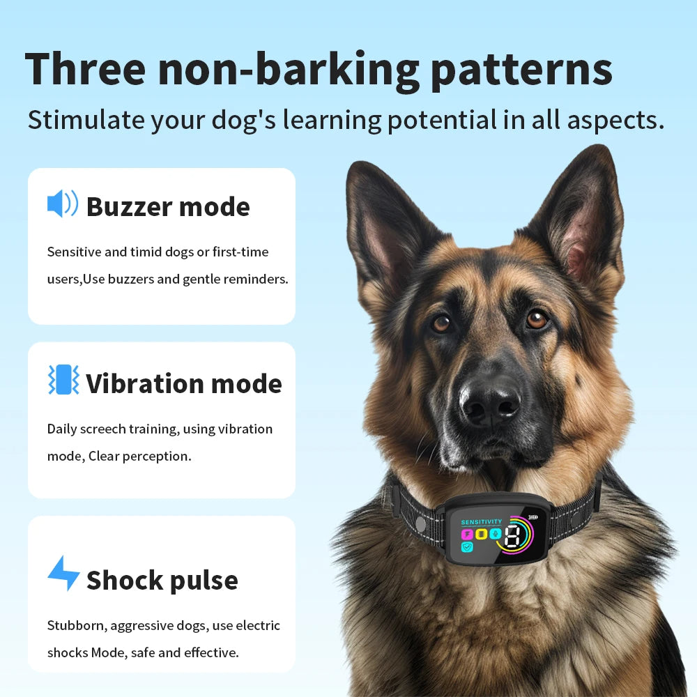 Dog wearing anti barking collar with three non-barking patterns displayed on a blue background.