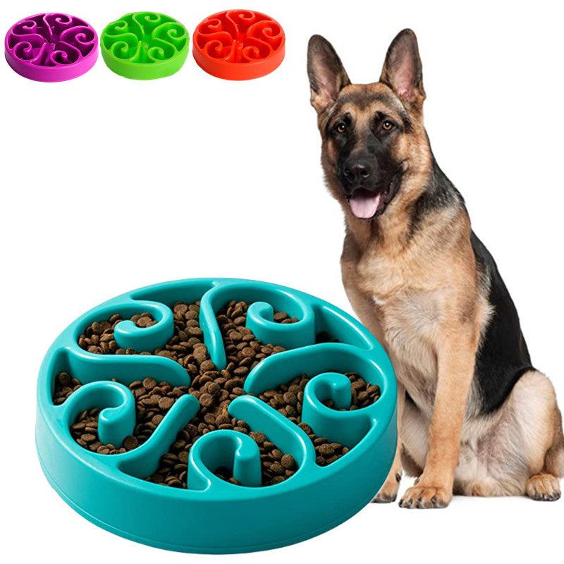 Dog with a slow feeder bowl and colorful options in the corner