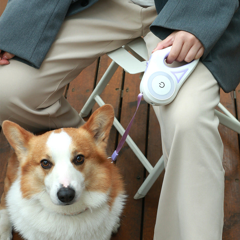 Person holding a dog with a retractable dog leash next to a corgi on a wooden floor.