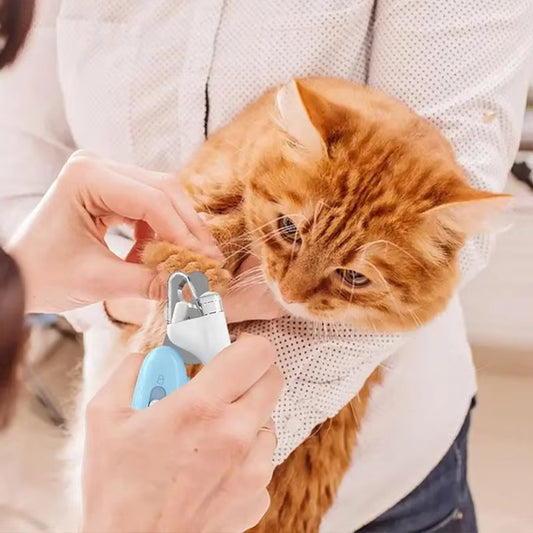 Person trimming a cat's nails with a blue tool, wearing a white shirt.