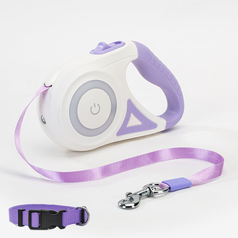 Retractable dog leash on collar set with purple accents on a white background
