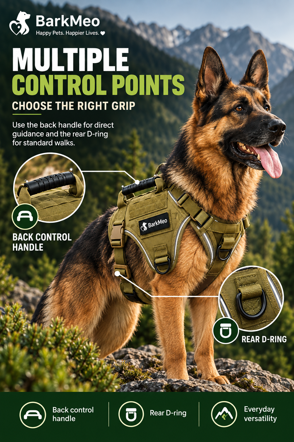 Multiple Control Points for Versatile Walks